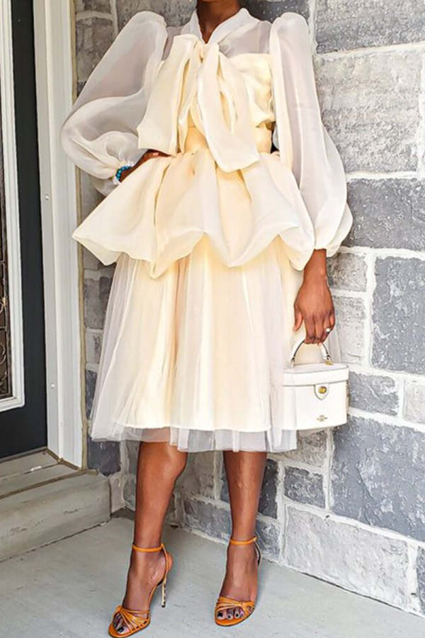 Apricot Casual Solid Flounce O Neck Cake Skirt Dresses