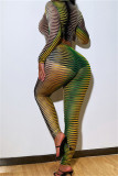 Green Fashion Sexy Print See-through O Neck Long Sleeve Two Pieces