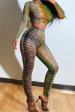 Green Fashion Sexy Print See-through O Neck Long Sleeve Two Pieces