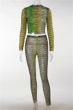 Green Fashion Sexy Print See-through O Neck Long Sleeve Two Pieces