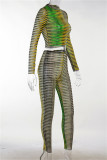 Green Fashion Sexy Print See-through O Neck Long Sleeve Two Pieces