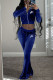 Blue Fashion Casual Letter Embroidered Hooded Collar Long Sleeve Two Pieces