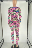 Pink Sexy Print Leopard Patchwork Square Collar Long Sleeve Two Pieces