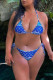 Blue Fashion Sexy Print Backless Swimwears Set