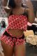 Pink Sexy Print Mesh Spaghetti Strap Sleeveless Two Pieces