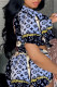 Blue Casual Living Print Basic Turndown Collar Short Sleeve Two Pieces