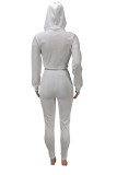 Pink Fashion Casual Solid Asymmetrical Hooded Collar Long Sleeve Two Pieces