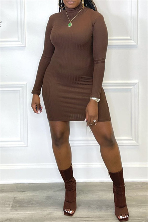 Brown Fashion Casual Solid Basic Turtleneck Long Sleeve Dresses