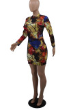 Multi-color Casual Street Print Patchwork Zipper Zipper Collar One Step Skirt Dresses