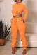 Orange Fashion Casual Solid Basic O Neck Long Sleeve Two Pieces
