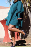 Blue Fashion Casual Solid Basic O Neck Long Sleeve Dresses