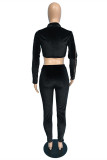 Black Sexy Patchwork See-through Asymmetrical Zipper Collar Long Sleeve Two Pieces