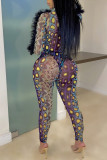 Yellow Sexy Print Patchwork See-through Fold Mesh V Neck Long Sleeve Two Pieces