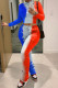 Blue Red Fashion Casual Print Basic O Neck Long Sleeve Two Pieces