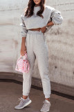 Grey Fashion Casual Solid Basic O Neck Long Sleeve Two Pieces