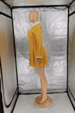 Yellow Casual Solid Patchwork Turndown Collar Cake Skirt Dresses