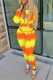 Yellow Fashion Casual Print Basic Hooded Collar Long Sleeve Two Pieces
