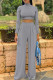 Grey Fashion Casual Solid Basic Turtleneck Long Sleeve Two Pieces
