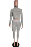 Grey Casual Solid Split Joint Turtleneck Long Sleeve Two Pieces