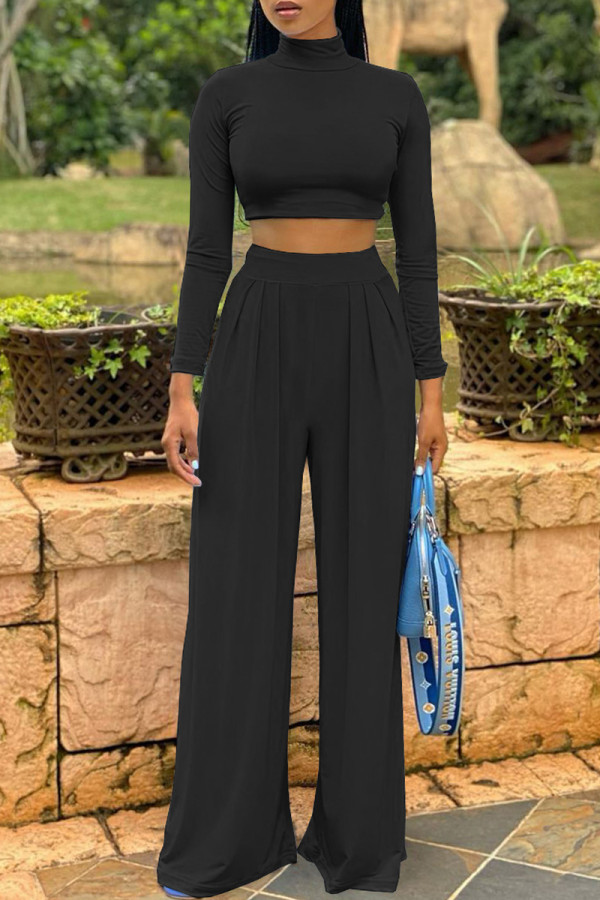 Black Fashion Casual Solid Basic Turtleneck Long Sleeve Two Pieces