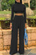 Black Fashion Casual Solid Basic Turtleneck Long Sleeve Two Pieces