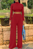 Pink Fashion Casual Solid Basic Turtleneck Long Sleeve Two Pieces