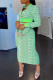 Green Fashion Casual Print Basic Zipper Collar Long Sleeve Two Pieces