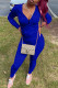 Blue Fashion Casual Solid Basic Hooded Collar Long Sleeve Two Pieces