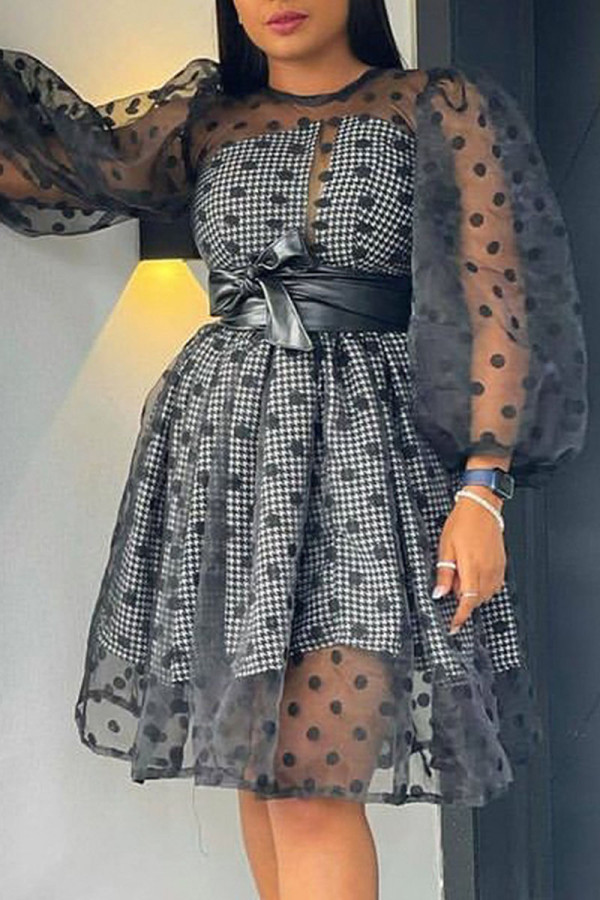 Black Sexy Print Polka Dot Patchwork See-through With Belt O Neck Princess Dresses