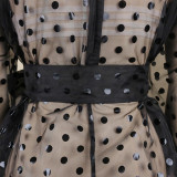 Black Sexy Print Polka Dot Patchwork See-through With Belt O Neck Princess Dresses