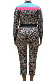 Leopard print Sexy Knitting Print Leopard Split Joint O Neck Plus Size Set