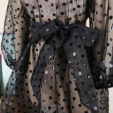 Black Sexy Print Polka Dot Patchwork See-through With Belt O Neck Princess Dresses