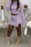 Light Purple Casual Solid Patchwork Slit Half A Turtleneck Long Sleeve Two Pieces