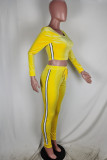 Yellow Casual Solid Patchwork O Neck Long Sleeve Two Pieces