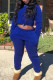 Royal Blue Fashion Casual Solid Basic O Neck Long Sleeve Two Pieces