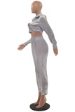 Silver Fashion Casual Solid Basic Turndown Collar Long Sleeve Two Pieces