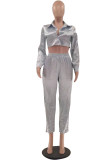 Silver Fashion Casual Solid Basic Turndown Collar Long Sleeve Two Pieces