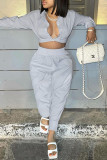 Silver Fashion Casual Solid Basic Turndown Collar Long Sleeve Two Pieces
