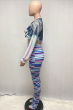 Pink Casual Print Tassel O Neck Long Sleeve Two Pieces
