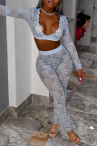 Gray White Sexy Patchwork See-through V Neck Long Sleeve Two Pieces