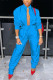 Blue Sexy Casual Solid Basic Long Sleeve Two Pieces