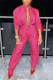 Pink Sexy Casual Solid Basic Long Sleeve Two Pieces