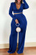 Blue Sexy Solid Patchwork Frenulum Backless Fold V Neck Long Sleeve Two Pieces
