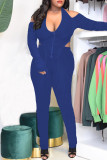 Blue Sexy Casual Solid Backless Fold Asymmetrical Halter Long Sleeve Two Pieces