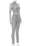 Grey Fashion Sexy Solid See-through Turtleneck Long Sleeve Two Pieces