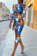 Blue Fashion Casual Print Backless O Neck Long Sleeve Dresses