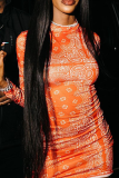 Orange Sexy Print Patchwork Half A Turtleneck Pencil Skirt Dresses