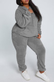 Grey Fashion Casual Solid Basic Hooded Collar Long Sleeve Two Pieces