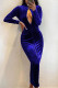 Blue Sexy Solid Hollowed Out Patchwork Zipper Turtleneck One Step Skirt Dresses