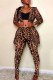 Leopard Print Fashion Casual Print Cardigan Pants Turndown Collar Long Sleeve Two Pieces